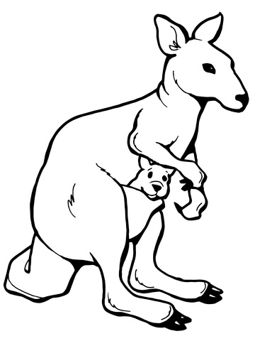 Kangaroo With A Joey Coloring Page